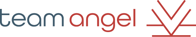 Team Angel Logo